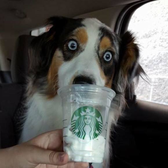 Meet your Posher, Neal - Picture 1 of 1